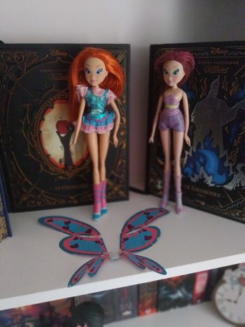 Deux Poupées Bloom et Tecna Believix Winx Club Smoby saison 4