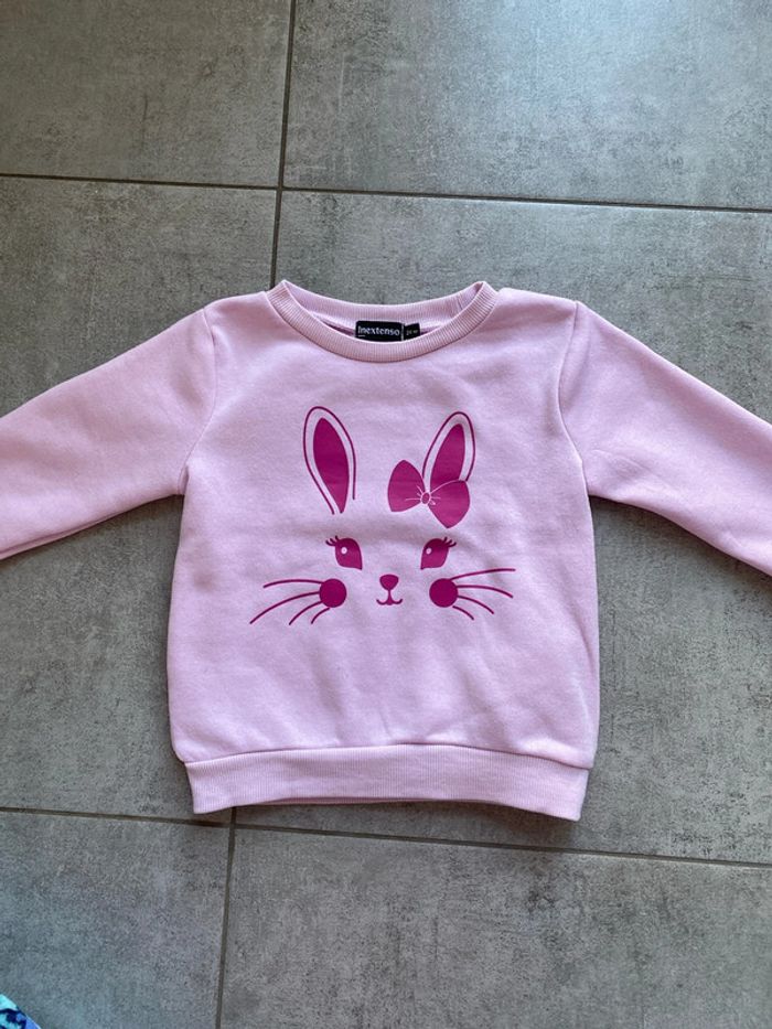 Pull / Sweat rose in extenso