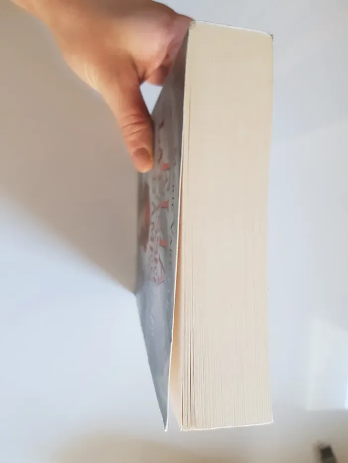 Marie Vareille (Auteur) Elia, la passeuse d'âmes - Tome 1 : Elia, la passeuse d'âmes - tome 1 - photo numéro 7