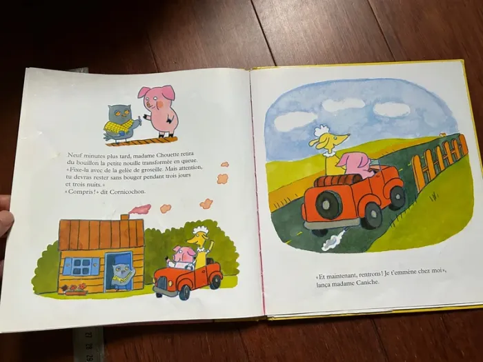 Cornicochon livre enfant - photo numéro 6