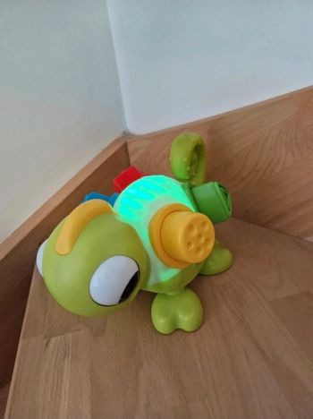 🪀 Léon caméléon