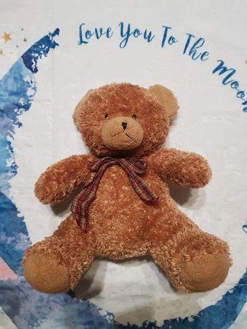 Très bel ours en peluche avec noeud autour du cou