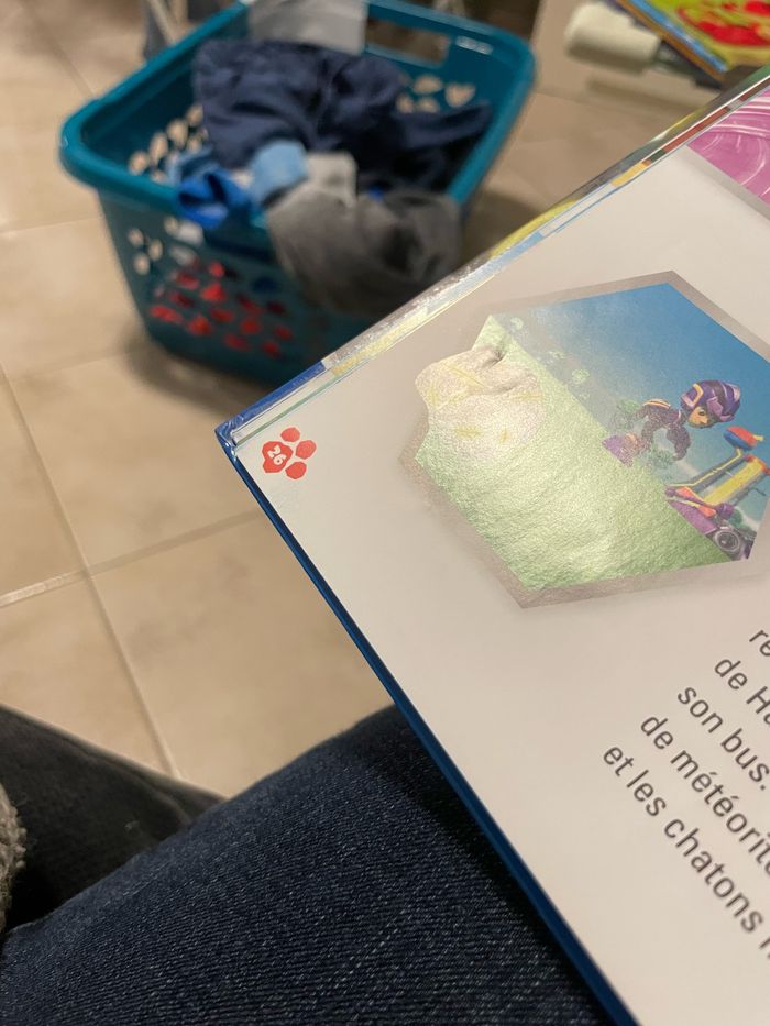 Livre pat patrouille attention aux super chatons - photo numéro 8