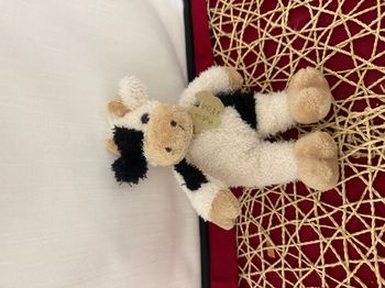 HISTOIRE D'OURS  DOUDOU VACHE BLANC ET NOIR MUSEAU BEIGE