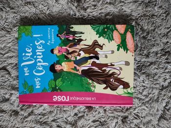 Livre ma vie mes copines! Au centre équestre Tome 10