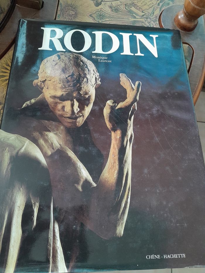 Livre rodin