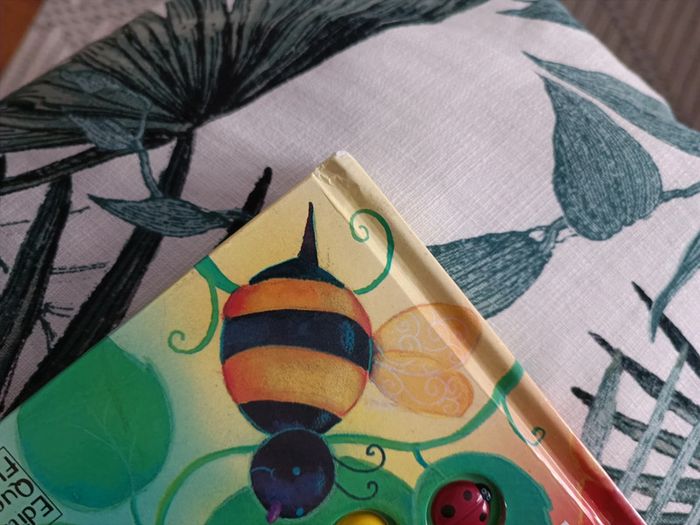 Livre Dix Petites Coccinelles 🐞 - photo numéro 6