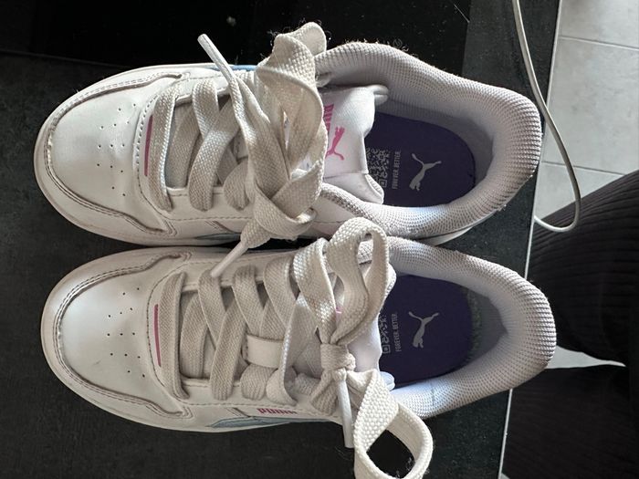 Puma - photo numéro 4