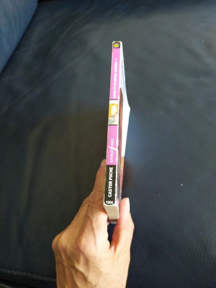 Katie et le cheval sauvage de Kathleen Duey - photo numéro 3