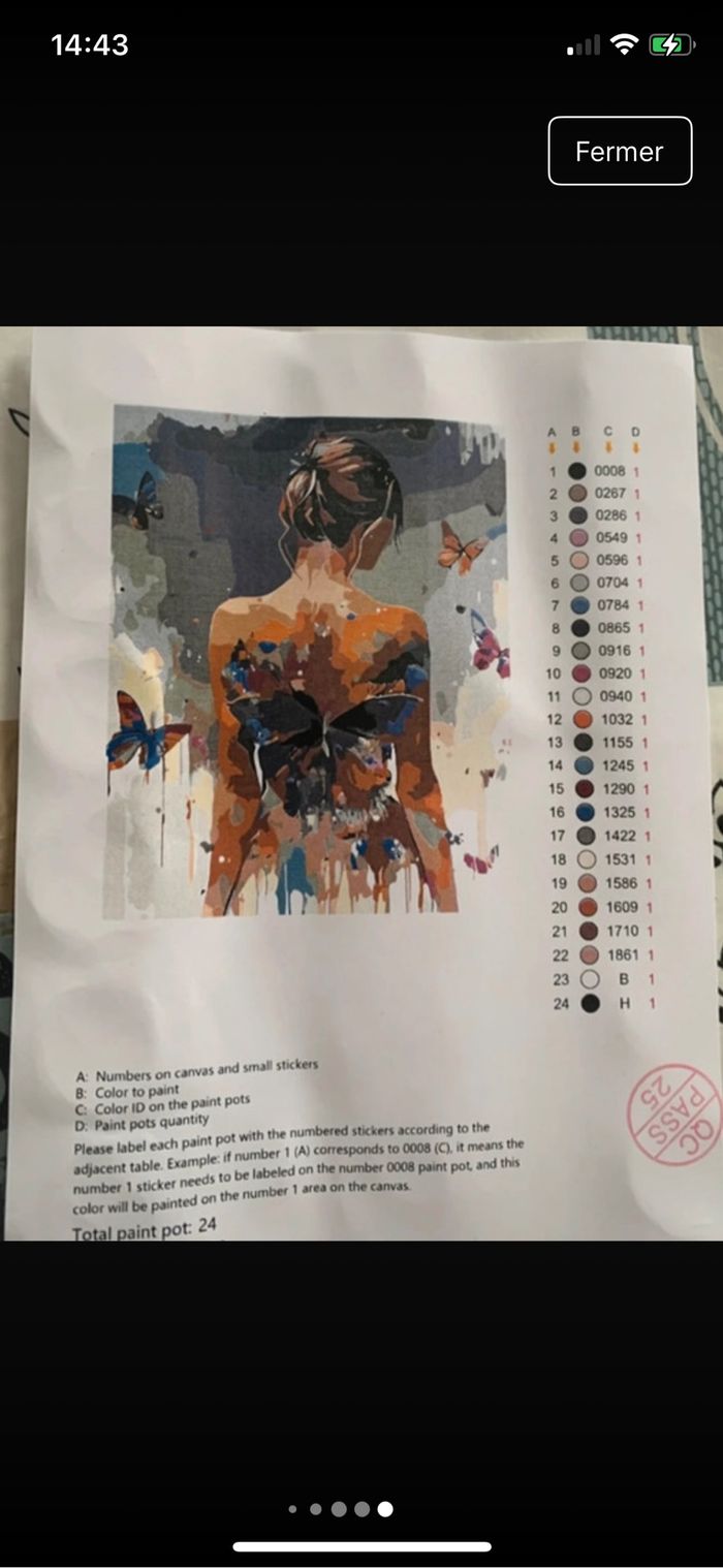 Kit complet de peinture par numéro - Neuf - photo numéro 7