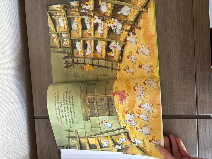 Livre nom d’une poule on a volé le soleil - photo numéro 3