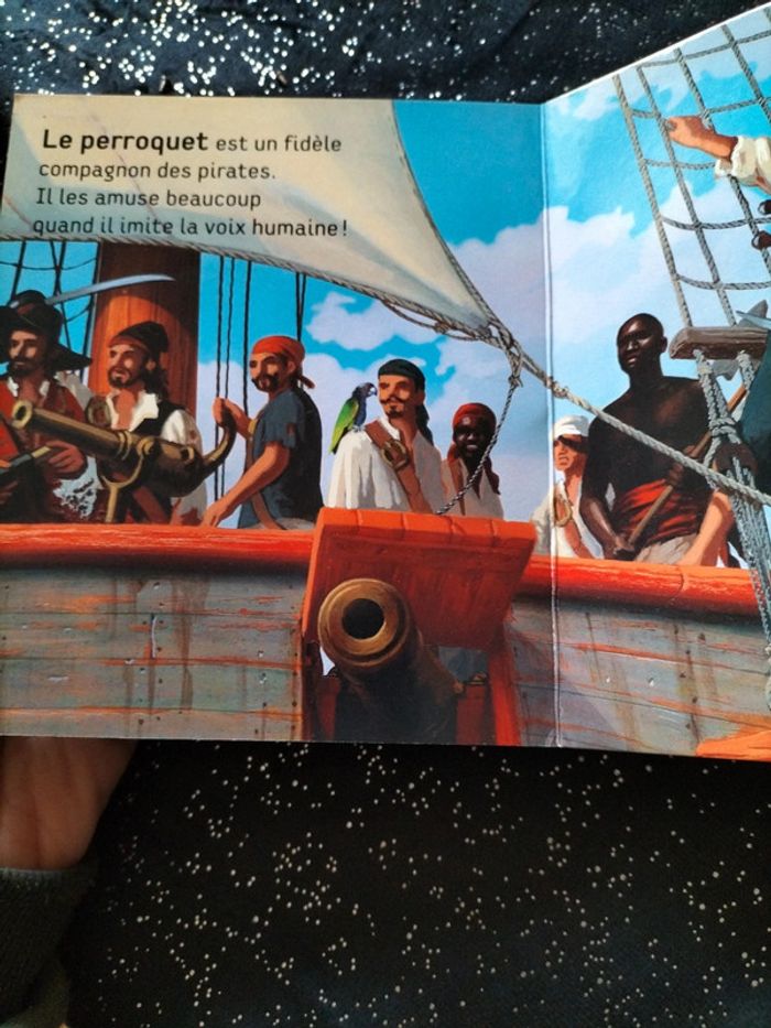 Livre sonore les bruits des pirates - photo numéro 3