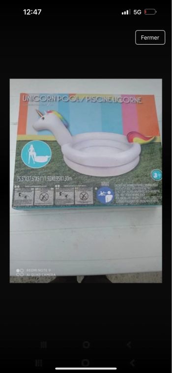 Piscine Licorne 