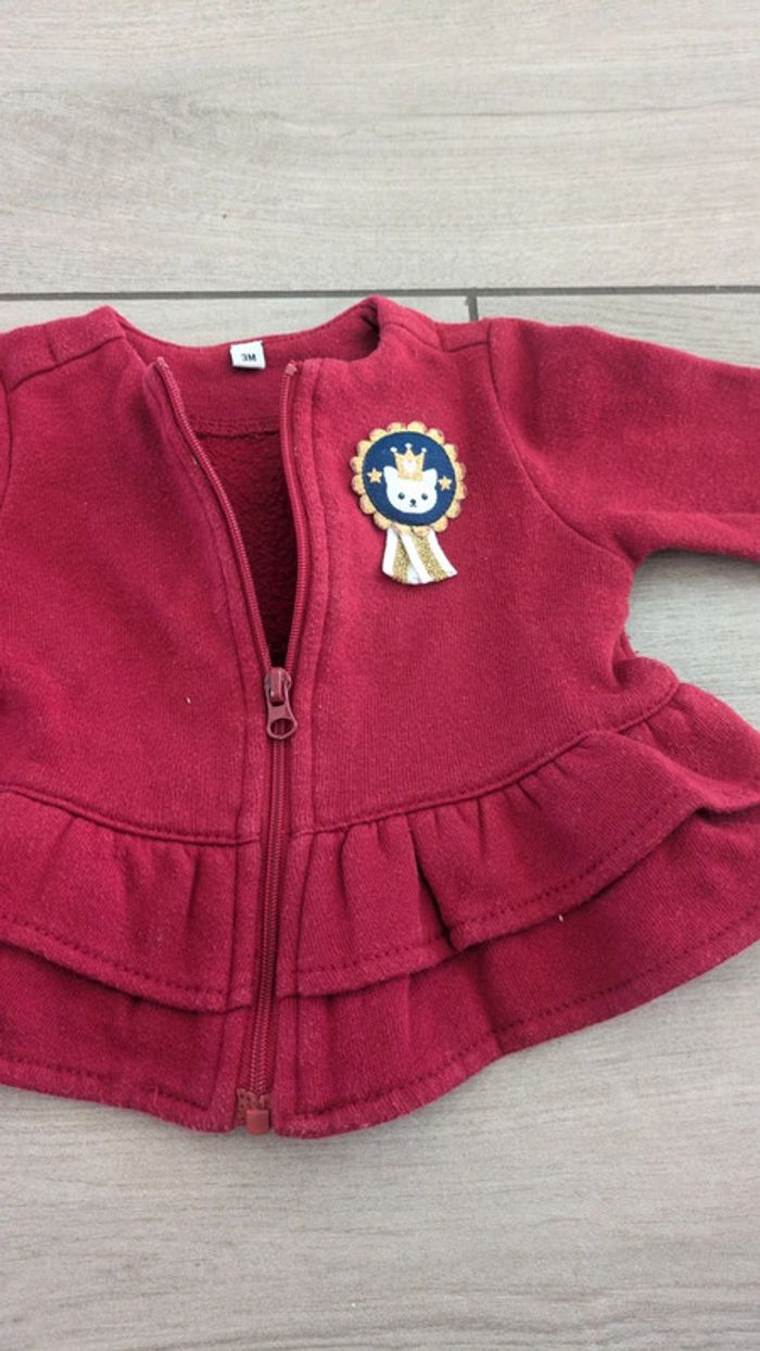 Lot gilet fille 3 mois - photo numéro 4