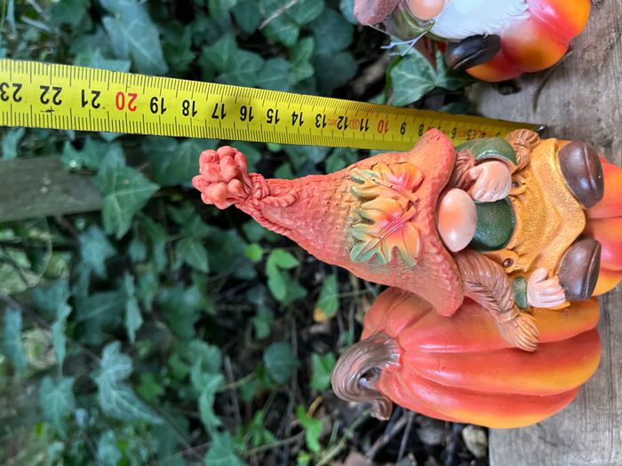 Couple de lutin gnome des forêt sur Citrouille - photo numéro 5