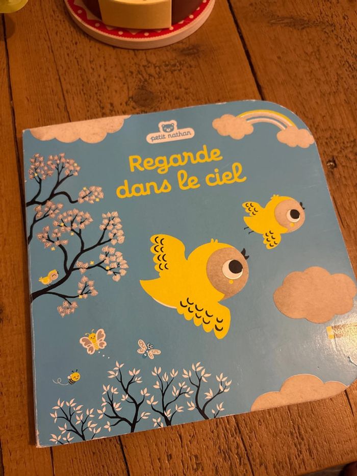 Livre Regarde dans le ciel Nathan