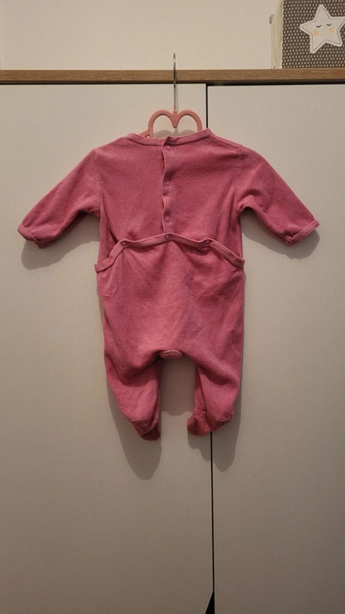 Grenouillère - photo numéro 2