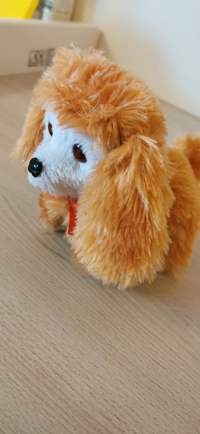 Chien interactif - photo numéro 3