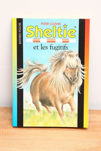 Sheltie et les fugitifs