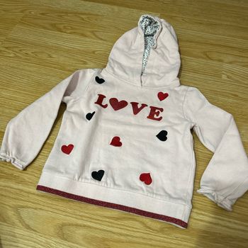 Sweat-shirt  à capuche