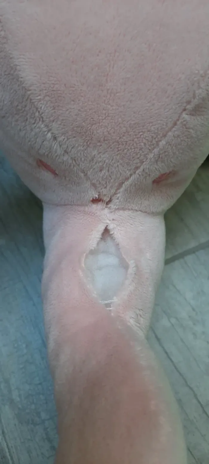 Peluche - photo numéro 3