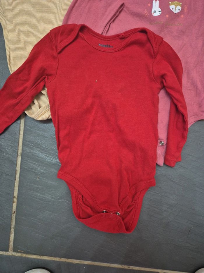 Lot de 3 bodys - photo numéro 2