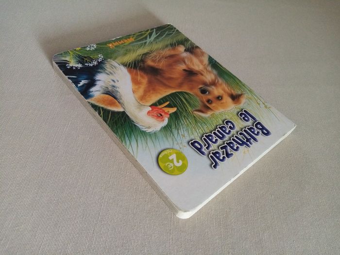 Livre enfant - photo numéro 8