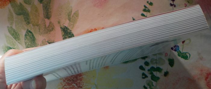 VOTE BLANC La longue DEmarche par Gérard GAUTIER Ed. L'écharpe - photo numéro 5