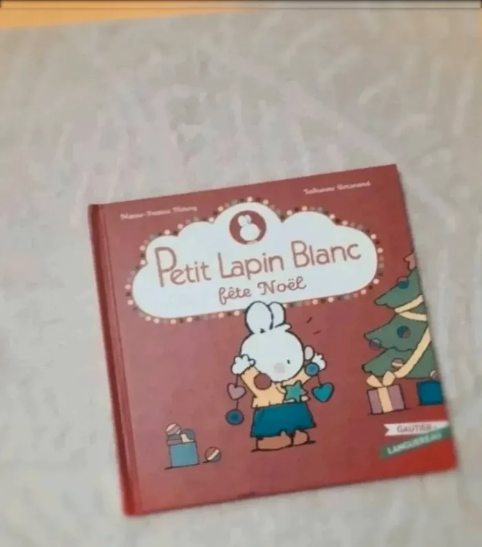 Livre  petit lapin  blanc