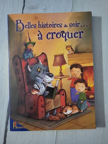 Livre belles histoires du soir à croquer neuf