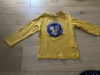 Hologramme pat patrouille 3 ans