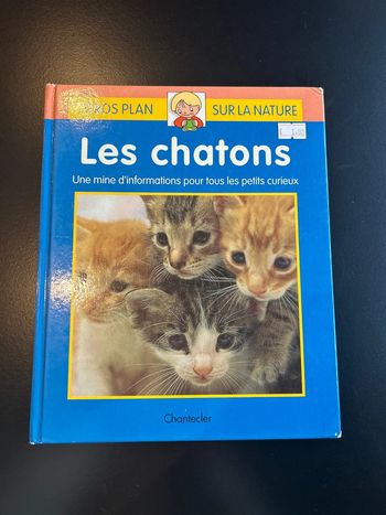 Les chatons une mine d’informations pour tout les petits curieux