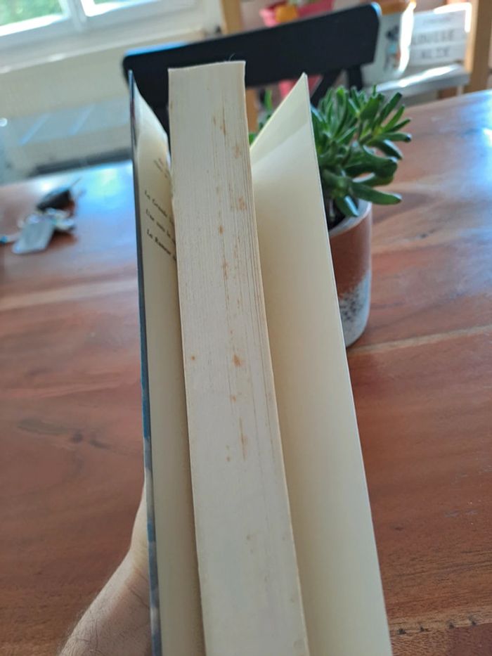 Livre Maria Vandamme, Jacques Duquesne - photo numéro 3