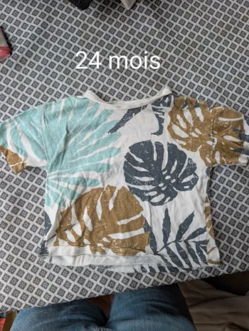 Tee shirt bébé garçon 24 mois