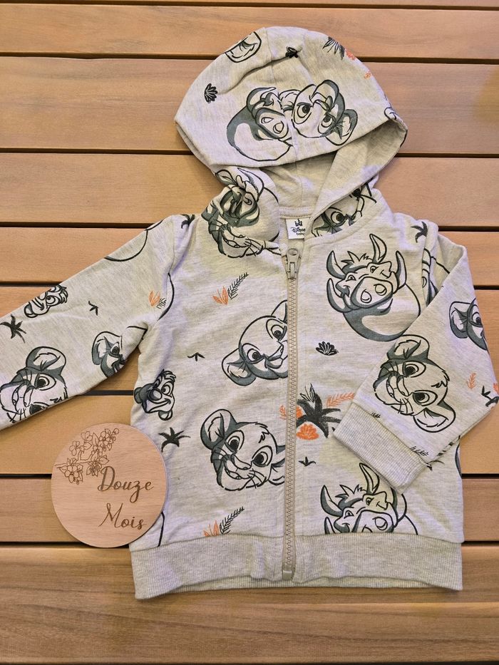 Sweet capuche DISNEY neuf 12 mois