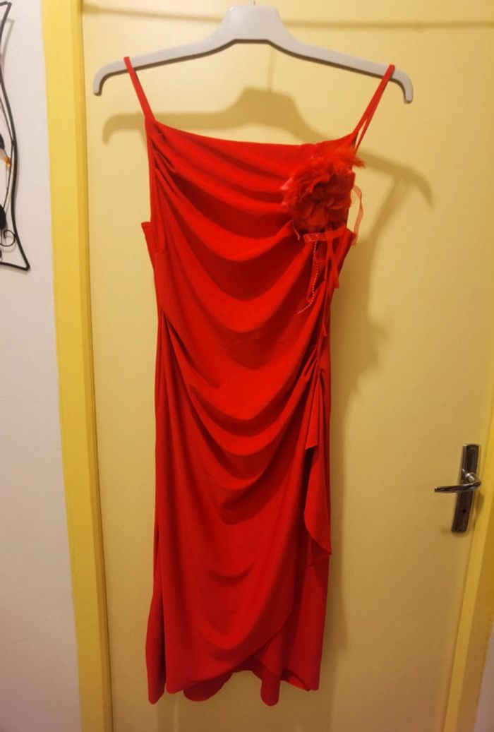 Robe rouge et sa broche