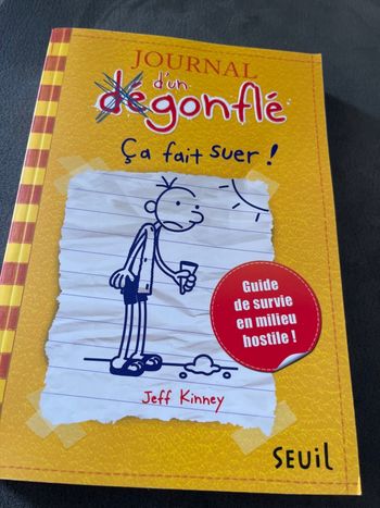 Livre journal d’un dégonflé tome 4