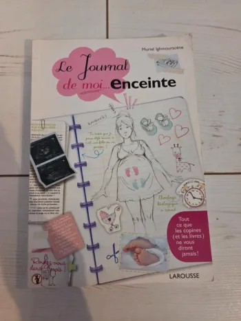 Le journal de moi enceinte