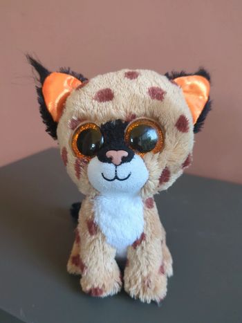 peluche Ty buckwheat