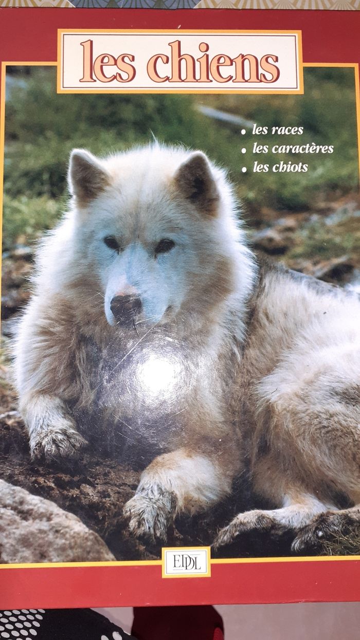 Livre chiens les races