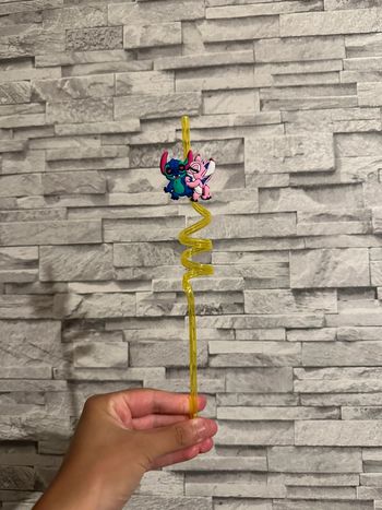 paille Stitch neuf