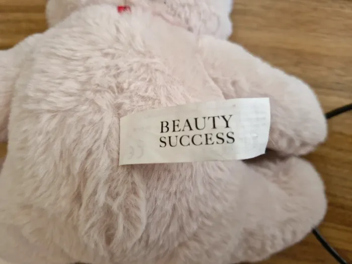 Ourson beauty succès - photo numéro 7