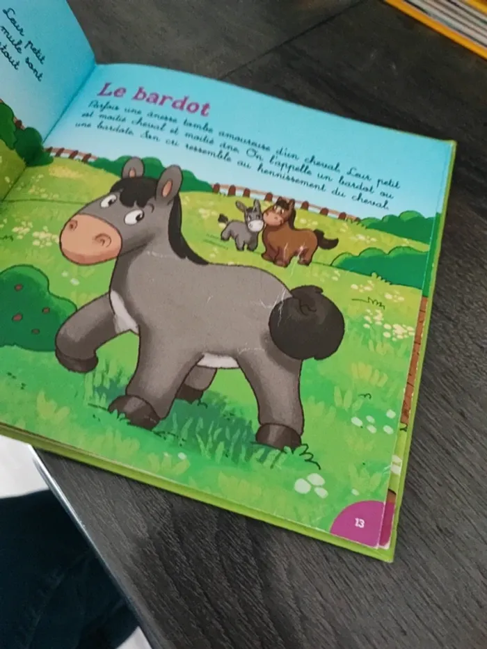 Une journée à la ferme avec l'âne - photo numéro 2