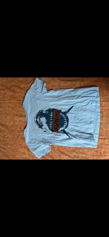 TEE shirt requin