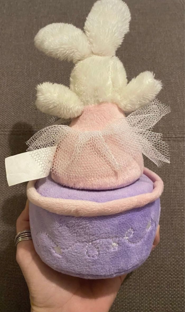 Lapin musical - photo numéro 2