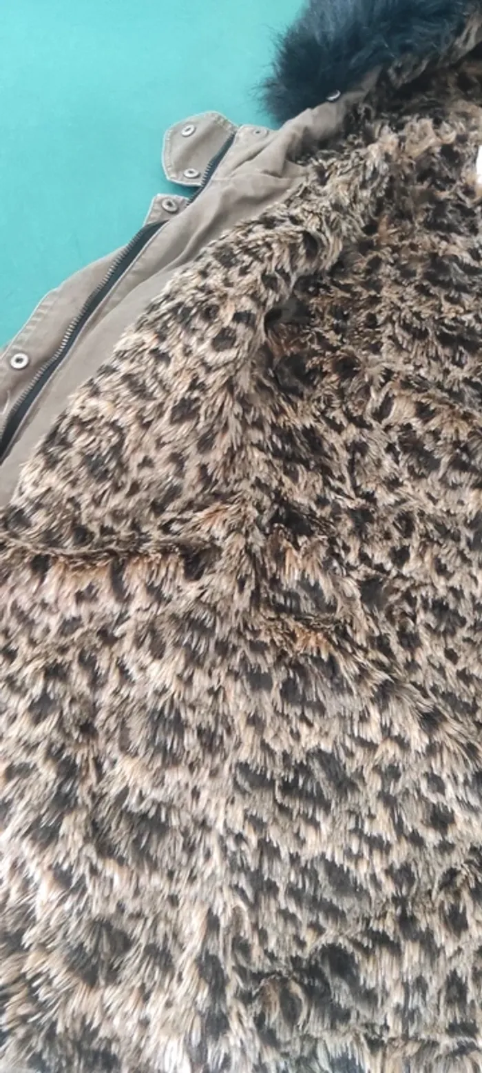 Veste - photo numéro 3
