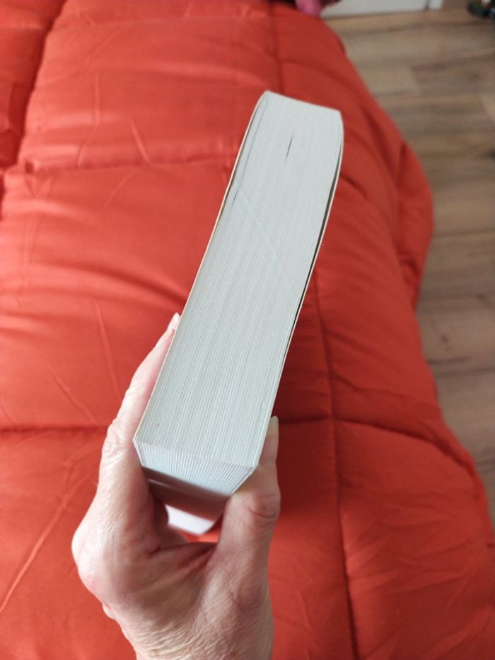 Comme des soeurs par Éloïse Hailone - photo numéro 4