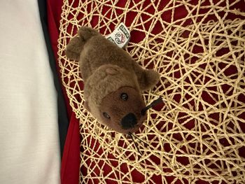 Nature Planet - Peluche - Plan L - Lion de mer