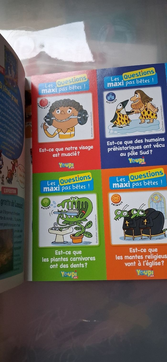 Youpi doc - photo numéro 6