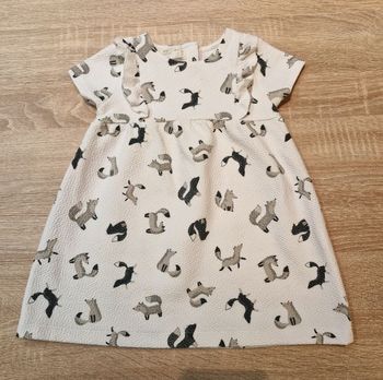 Robe Zara